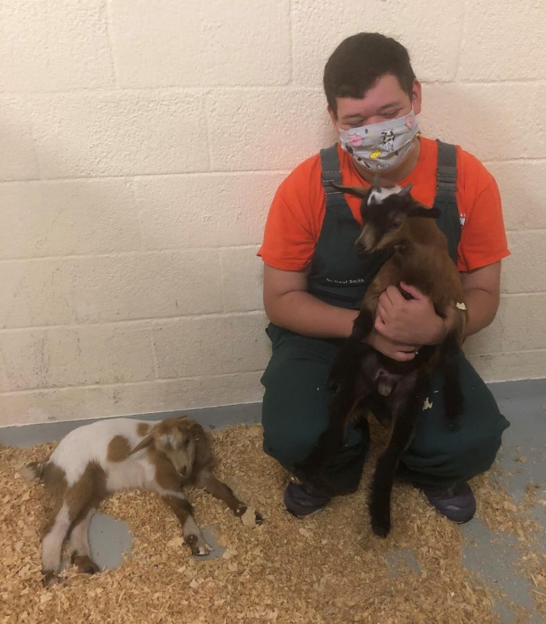 Daniel Smith, senior poses with 2 young goats, Tater and Tot.