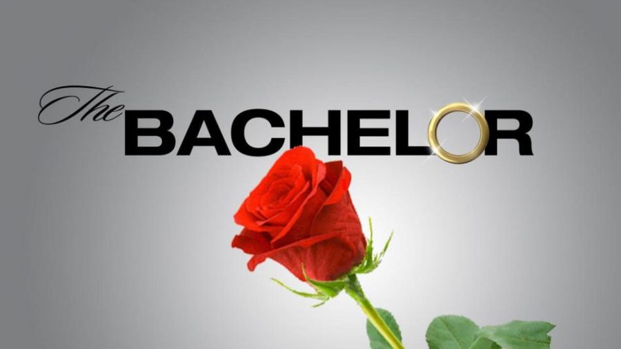 Bullies take The Bachelor by storm