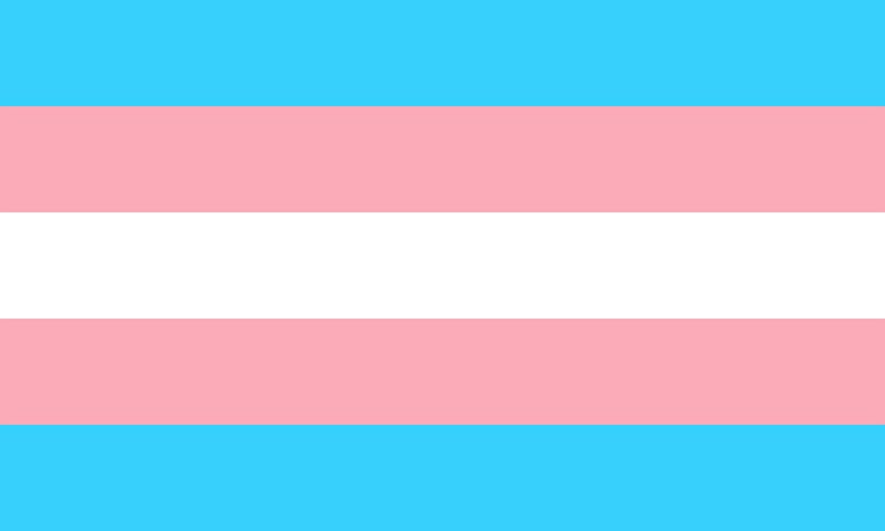 The+Transgender+flag+was+designed+in+1999+by+a+trans+woman.+The+blue+and+pink+stripes+represent+the+traditional+colours+for+boys+and+girls%2C+respectively.+The+white+stripe+represents+intersex%2C+transitioning%2C+or+neutral+gender.