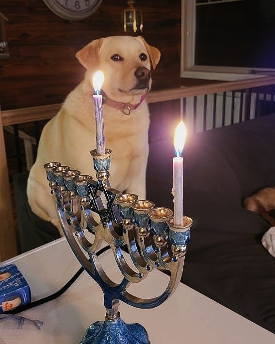 A family's Menorah is lit on the second day, after the lighting of the Shamash.