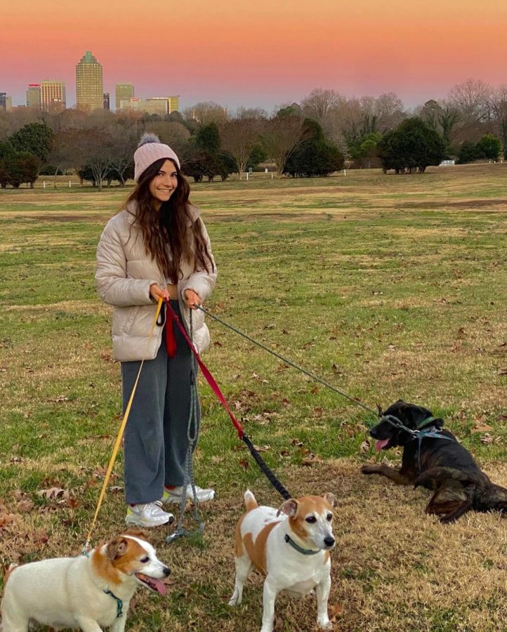 Sophomore Teagan Grantz walking several dogs in a park in the early evening. It is important to take mental breaks for enjoyment and relaxation.  