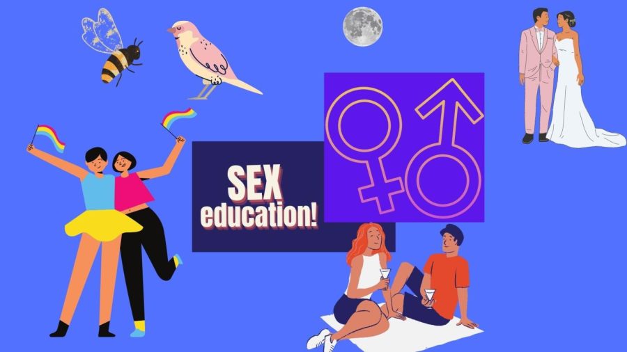 Every year, students all over the country take sex education. The question is, does it actually teach us relevant information?
