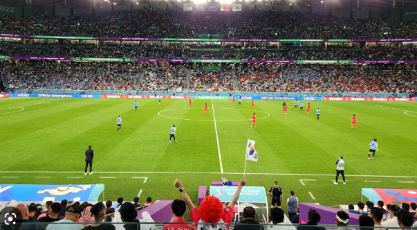 A side view of the South Korea versus Uruguay match on November 24th during the first round. The game ended in a draw, 0-0.