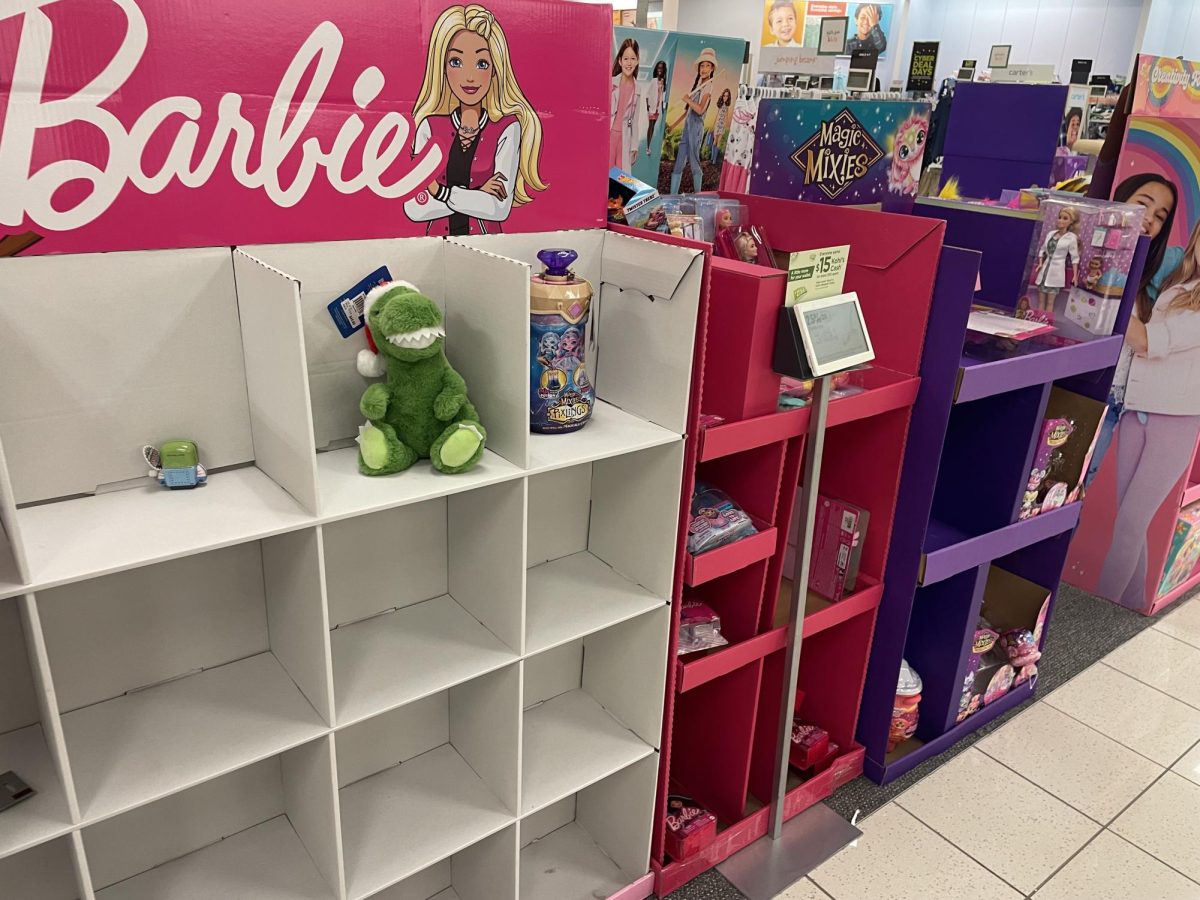 Shelves that used to be stocked with Barbies barely have anything left. After black friday the customers rushed to the stores not leaving any leftovers.