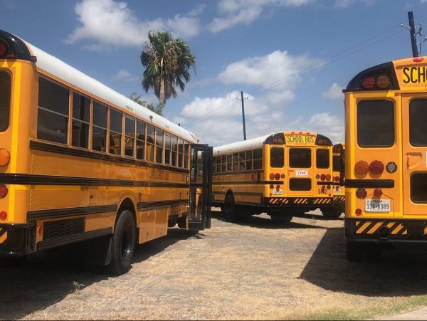 Busses in a straight line about to drop off some students at the beach for a English field trip.
