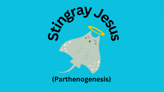 Many have joked that Charlottes baby are akin to Jesus, because of the lack of male intervention. Its become a moniker of hers in the media, even though Stingray Mary may be more appropriate for herself. 