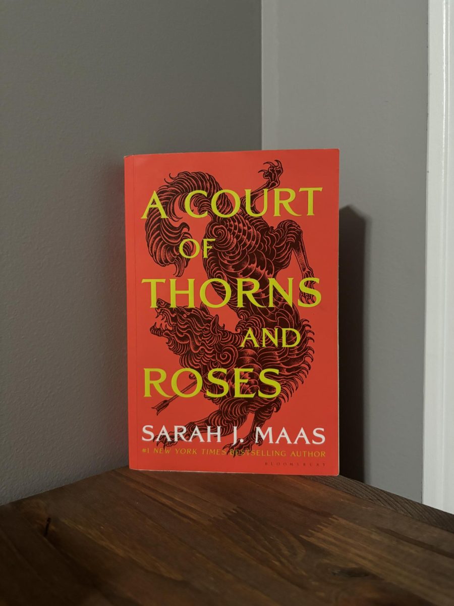 This is the first book of an entrancing series; a best seller due to its captivating romance, action and fairytale aspects, A Court of Thorns and Roses,written by Sarah J. Mass. 
