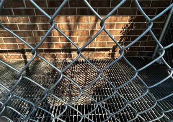 A picture taken of the Athens Drive courtyard “hole”. It is known for being the home of many different imaginative rumors